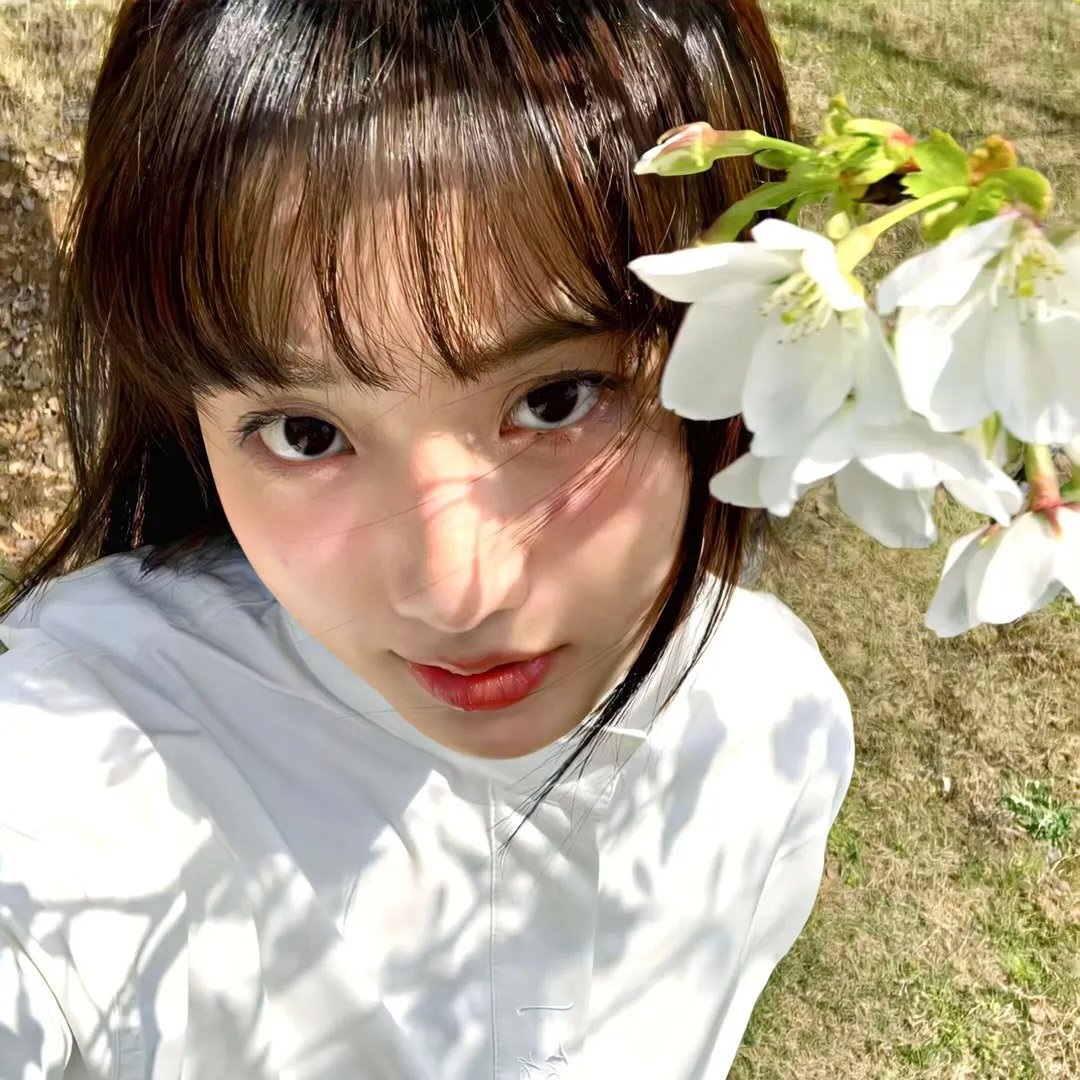 锦绣芳华